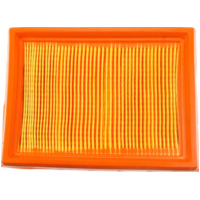 Luftfilter 100601150