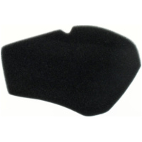 Luftfilter 100601230