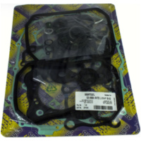 Zylinderdichtung, Motordichtungen Motordichtsatz XRV / 666A755FL