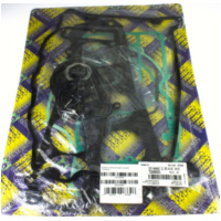 Zylinderdichtung, Motordichtungen Motordichtsatz für: Kawasaki / 722A902FL