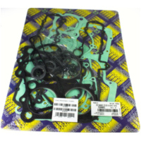 Zylinderdichtung, Motordichtungen Motordichtsatz Z / 722A980FL