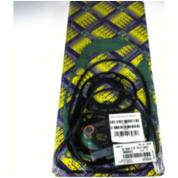 Zylinderdichtung, Motordichtungen Motordichtsatz RD / 990A264FL