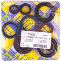 Motorwellendichtringsatz 1031703