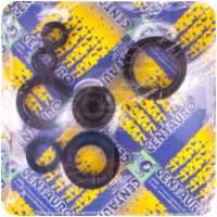 Motorwellendichtringsatz 1032501