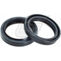 41x53.1x8/9.5 NOK 111A091FK Gabelwellendichtringset