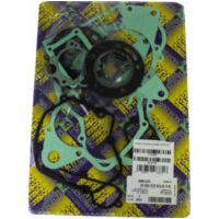 Zylinderdichtung, Motordichtsatz kompletter Dichtsatz / 666A131FL