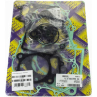 Zylinderdichtung, Motordichtungen Motordichtsatz / 666A310FL