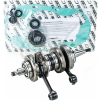 Geschmiedete Kurbelwelle WPC100 inklusive Rumpfdichtsatz und Kurbelwellenlager