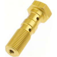 Hohlschraubedoppelt M10x1.00 MCH 971 G