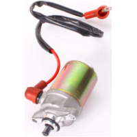 Startermotor Anlassermotor für 139QMB/QMA