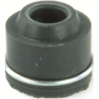 Dichtung Ventilschaftdichtungen 10 Stück