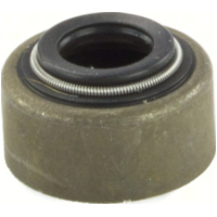 Dichtung Ventilschaftdichtungen 10 Stück 198010