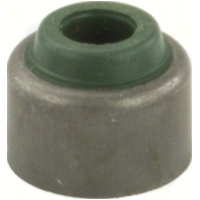 Dichtung Ventilschaftdichtungen 10 Stück 198014