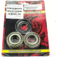 Steuerkopflager PWSSK-G01-001