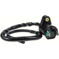 Zündmodul Zündspule 2 Pins für Honda, Kymco, Peugeot, GY6, SYM