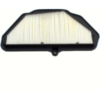 Luftfilter CAF1921 (Vergl.Nr: HFA2921)