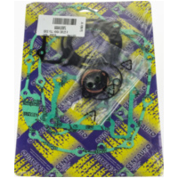 Zylinderdichtung, Motordichtungen Motordichtsatz, NEU / 666A120FL