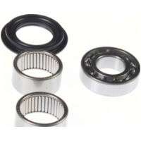 SCHWINGEN NADELLAGERSATZ SAO-421