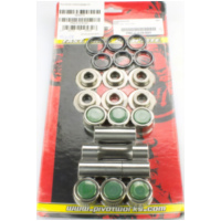 PWLK-S41-000 Umlenkungslager Kit