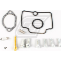 Vergaserreparatursatz für Freeride 250 R 15-17