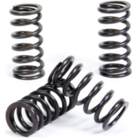 Kupplungsfedern Set für XR600R 85-00 + XR650L 93-20