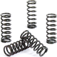 Kupplungsfedern Set für RM80/85 89-20