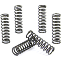 Kupplungsfedern Set für YZ450F 07-17 + YFM700R Raptor 06-20