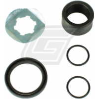 Antriebswellendichtsatz für YFM350 Warrior/Raptor 87-09