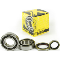 Kurbelwellenlager u. Dichtringset für Beta RR250/300 2T 13-16