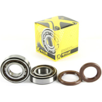 Kurbelwellenlager u. Dichtringset für KTM250/350SX-F 16-18
