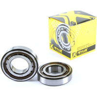 Kurbelwellenlager u. Dichtringset für KTM450SX-F 16-20