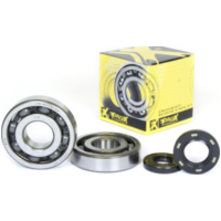 Kurbelwellenlager u. Dichtringset für KX250 03-08