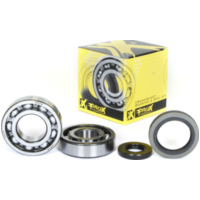 Kurbelwellenlager u. Dichtringset für RM250 86-88