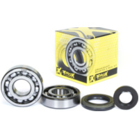 Kurbelwellenlager u. Dichtringset für RM250 89-93