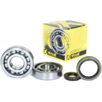 Kurbelwellenlager u. Dichtringset für RM250 94-95