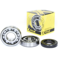 Kurbelwellenlager u. Dichtringset für TRX250R 87-89