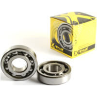 Kurbelwellenlager u. Dichtringset für Warrior/Raptor 350 87-13