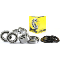 Kurbelwellenlager u. Dichtringset für XL1200LTD 98-01 + GP1200