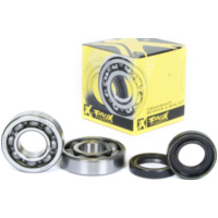 Kurbelwellenlager u. Dichtringset für YFS200 Blaster 05-06