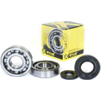 Kurbelwellenlager u. Dichtringset für YZ250 01-20