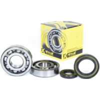 Kurbelwellenlager u. Dichtringset für YZ250 98