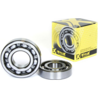 Kurbelwellenlagersatz für DR350 90-99