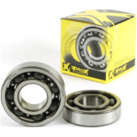 Kurbelwellenlagersatz für LT-R450 06-11