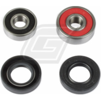 Radlager Set für KX65 00-20 + KX80/85/100 98-20