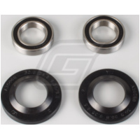 Radlager Set für TM all models 07-19