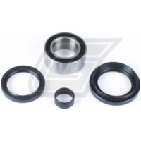 Radlager Set für TRX420 07-13