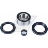 Radlager Set für TRX500FA/FE 05-09