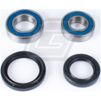 Radlager Set für TRX700XX 08-11