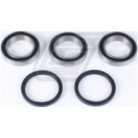 Radlager Set für KFX450R 08-11