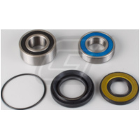 Radlager Set für LT-F250 Ozark 02-14 35504393